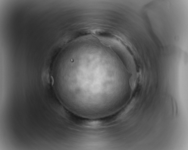X0000088860313200706081157