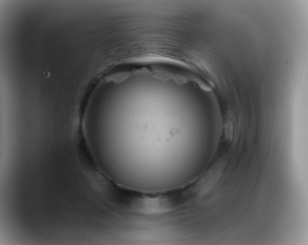 X0000088860314200706081157