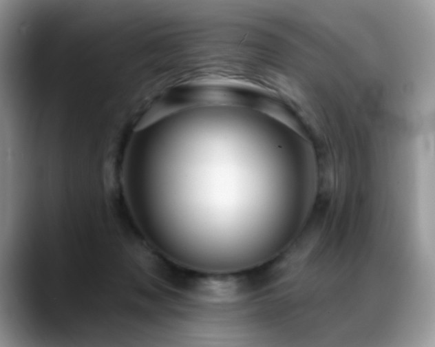 X0000088860317200706081157