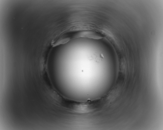 X0000088860318200706081157
