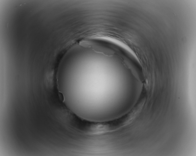 X0000088860319200706081157