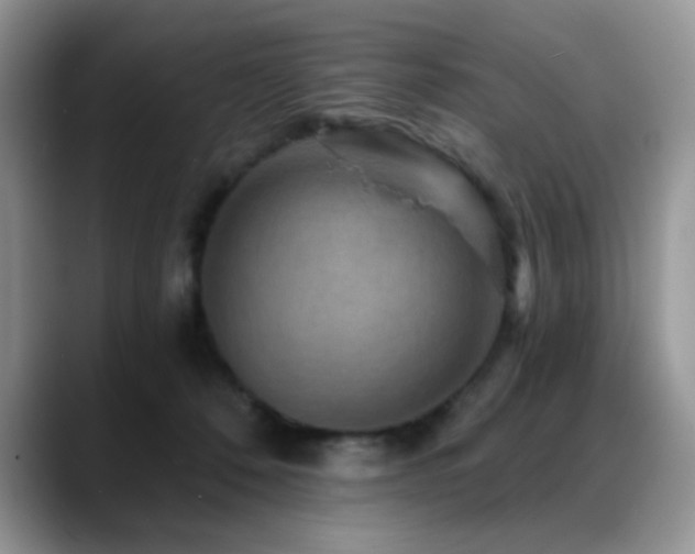X0000088860320200706081157