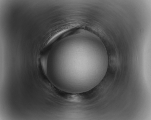 X0000088860324200706081157