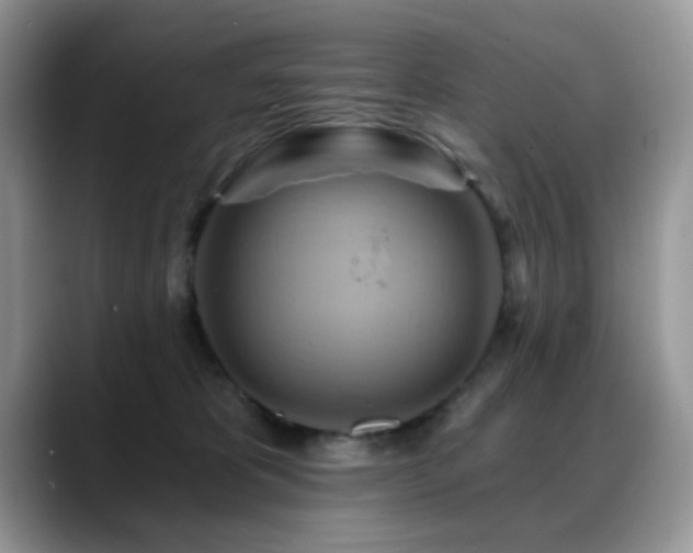 X0000088860325200706081157