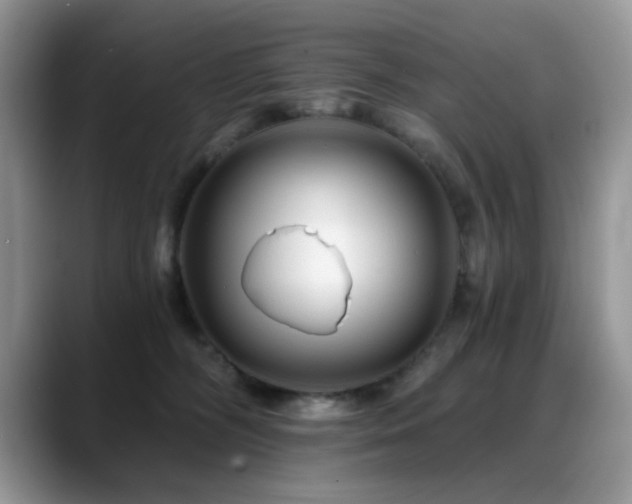 X0000088860326200706081157