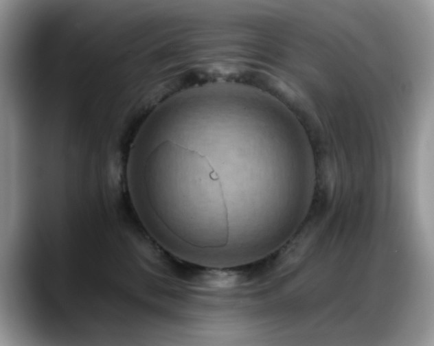 X0000088860328200706081157