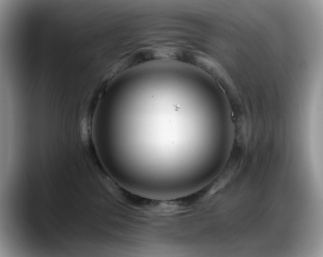 X0000088860329200706081157