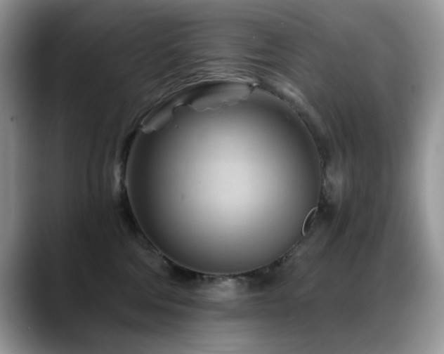 X0000088860330200706081157