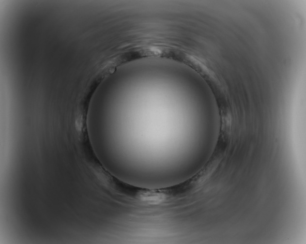 X0000088860331200706081157