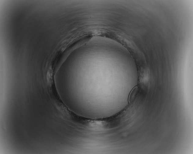 X0000088860332200706081157