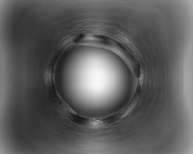 X0000088860333200706081157