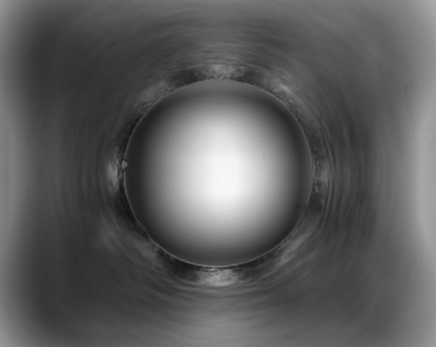 X0000088860334200706081157