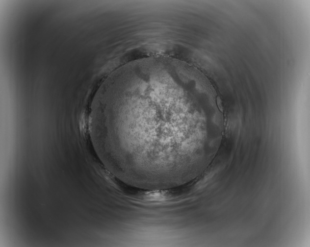 X0000088860335200706081157
