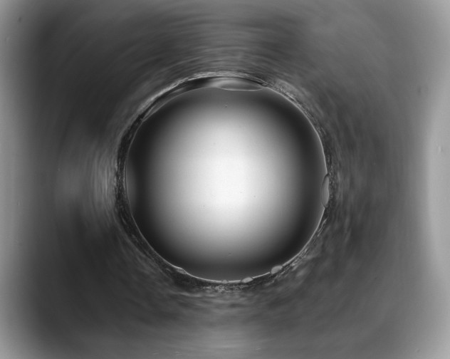 X0000088860338200706081157