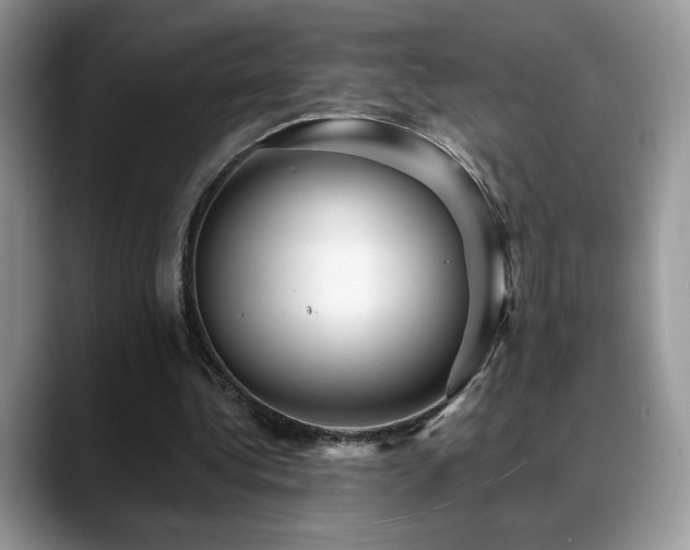X0000088860340200706081157