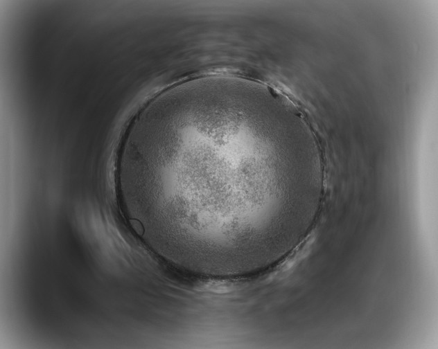 X0000088860341200706081157