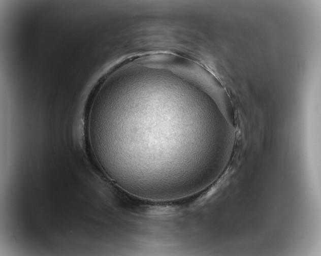 X0000088860342200706081157
