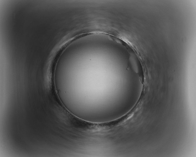 X0000088860343200706081157