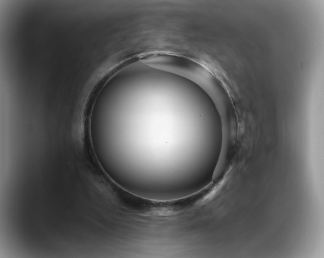 X0000088860344200706081157