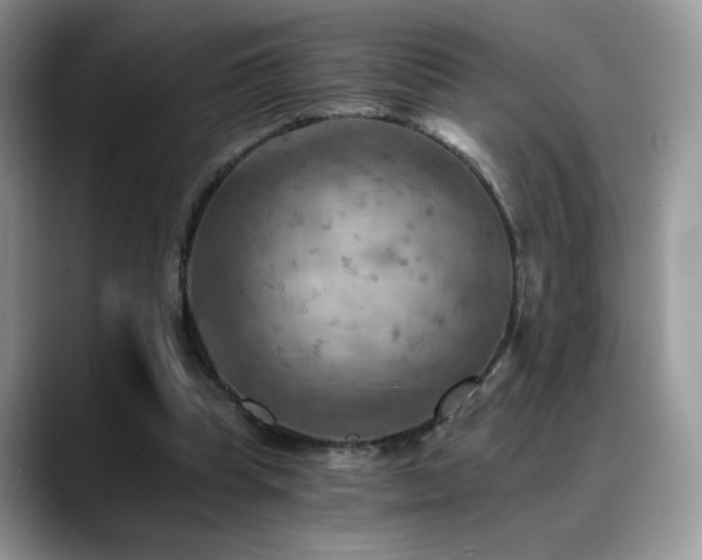 X0000088860345200706081157