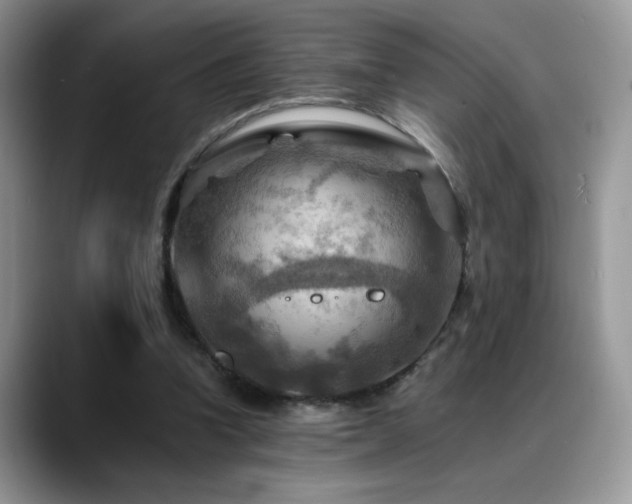 X0000088860346200706081157