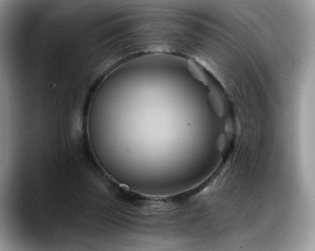 X0000088860347200706081157