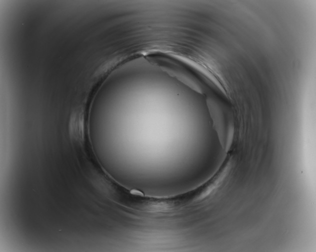 X0000088860349200706081157