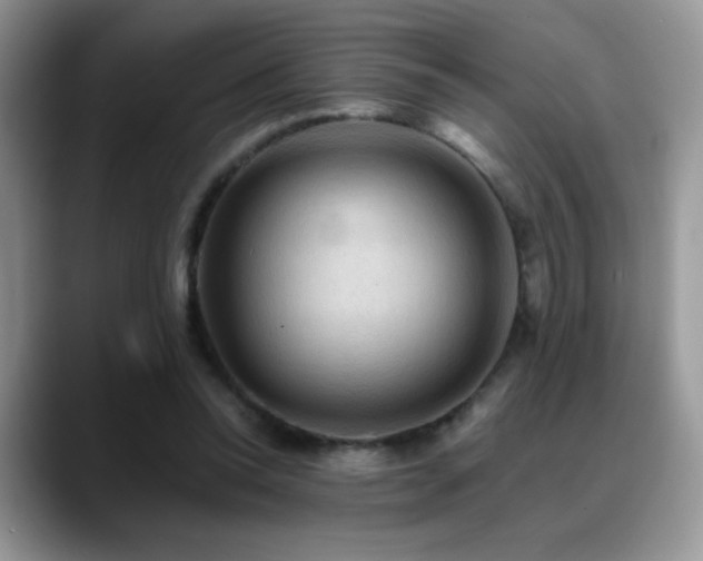 X0000088860350200706081157