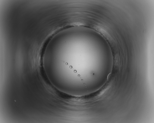 X0000088860351200706081157