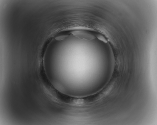 X0000088860355200706081157