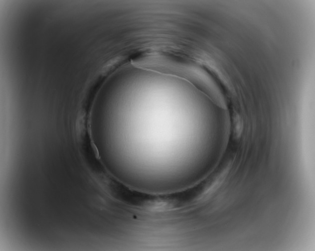 X0000088860356200706081157