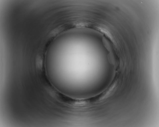 X0000088860357200706081157