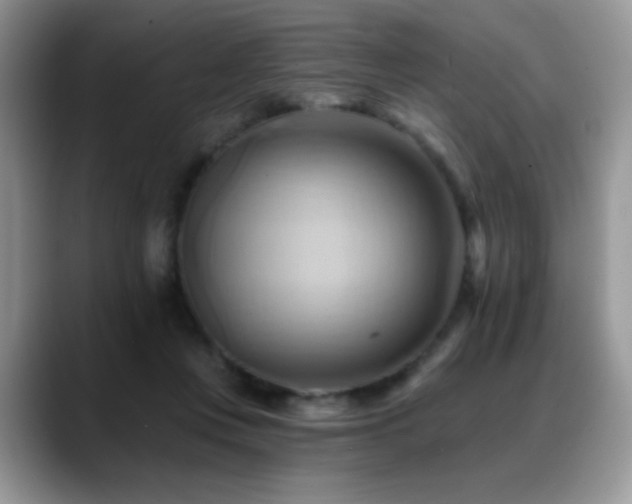 X0000088860359200706081157