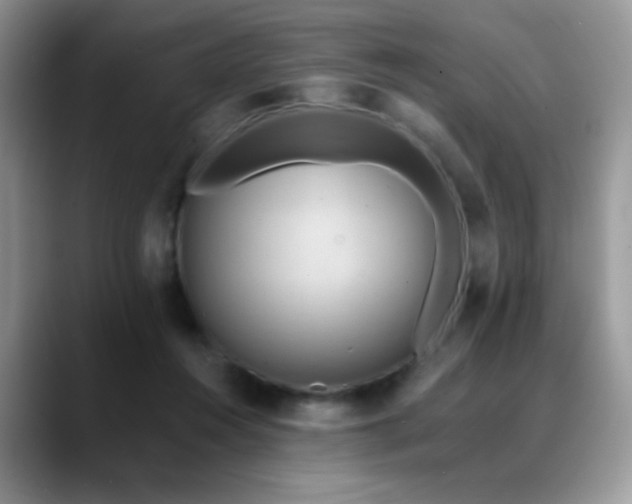 X0000088860360200706081157