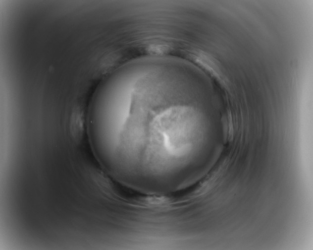 X0000088860363200706081157