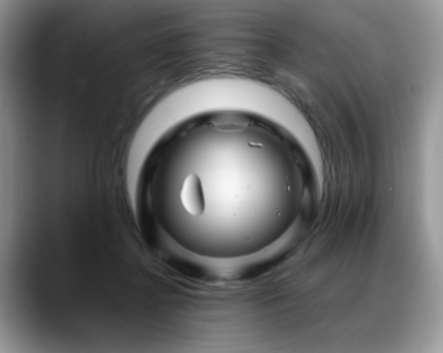 X0000088860364200706081157