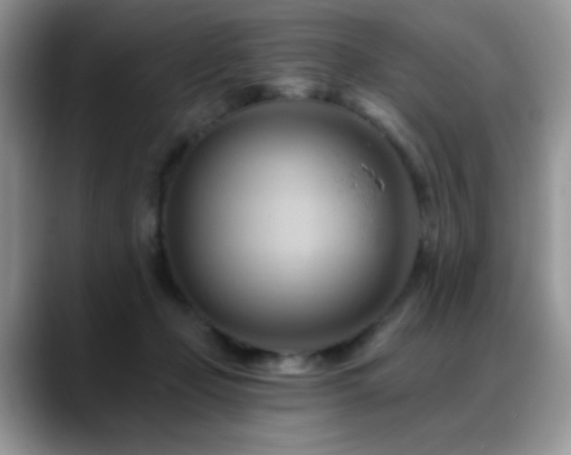 X0000088860365200706081157