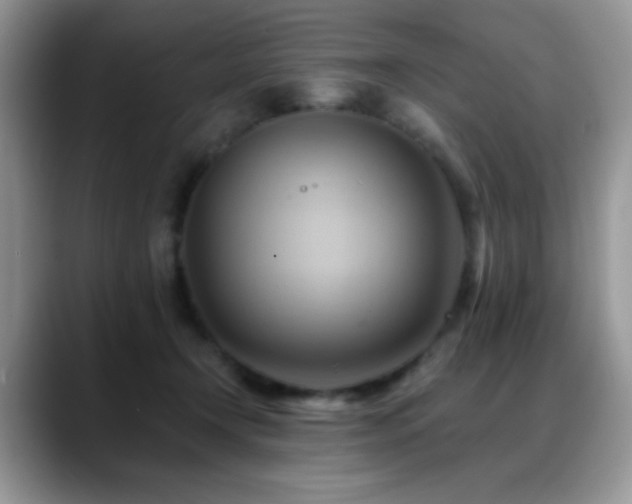 X0000088860366200706081157