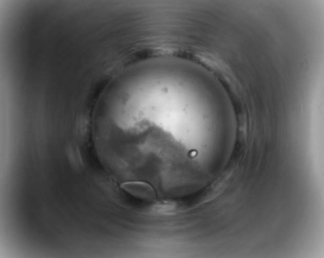 X0000088860369200706081157