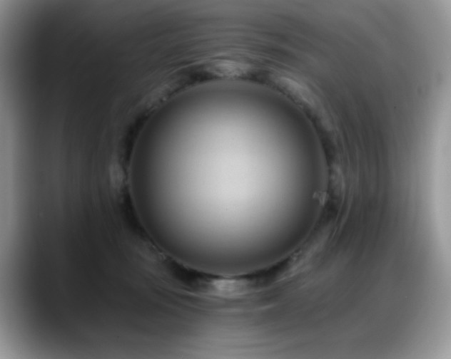 X0000088860371200706081157
