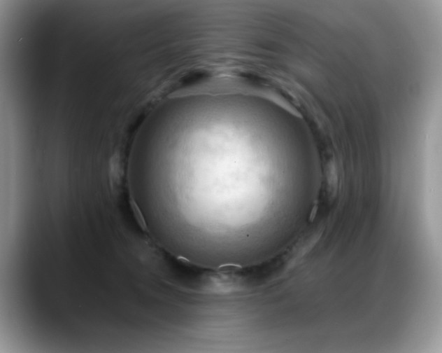 X0000088860372200706081157