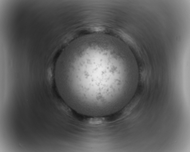 X0000088860373200706081157