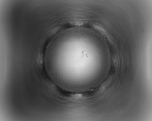 X0000088860374200706081157