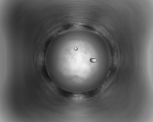 X0000088860376200706081157