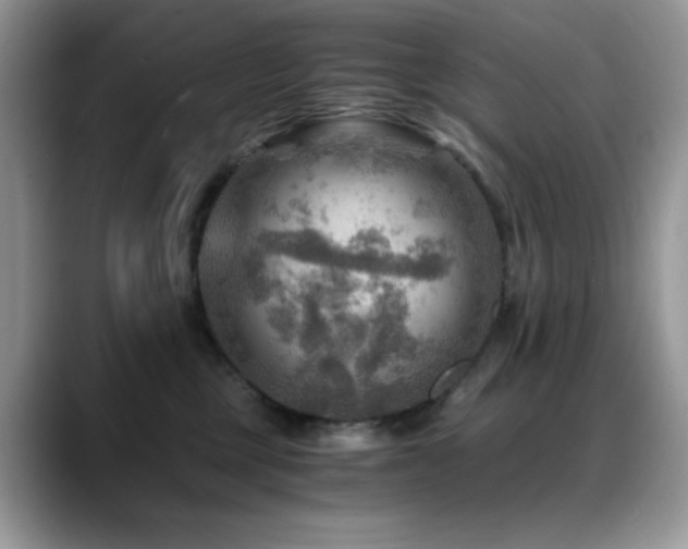 X0000088860377200706081157