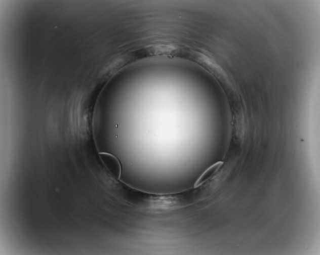 X0000088860378200706081157