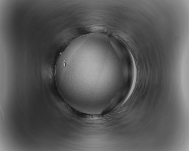 X0000088860380200706081157