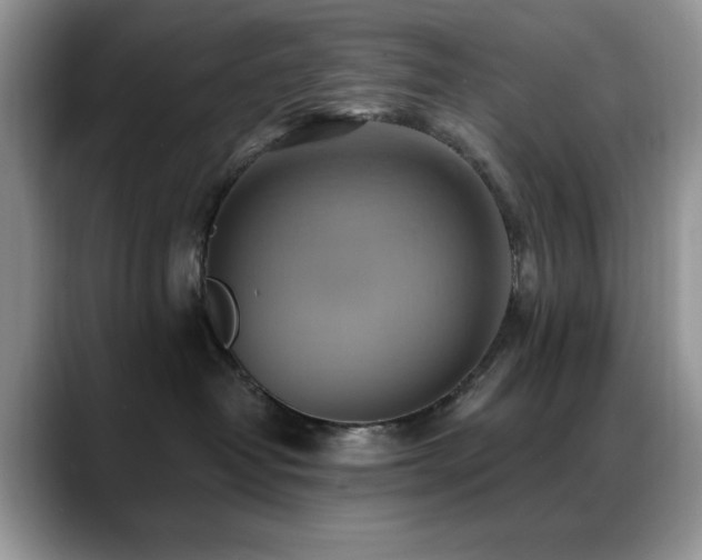 X0000088860382200706081157