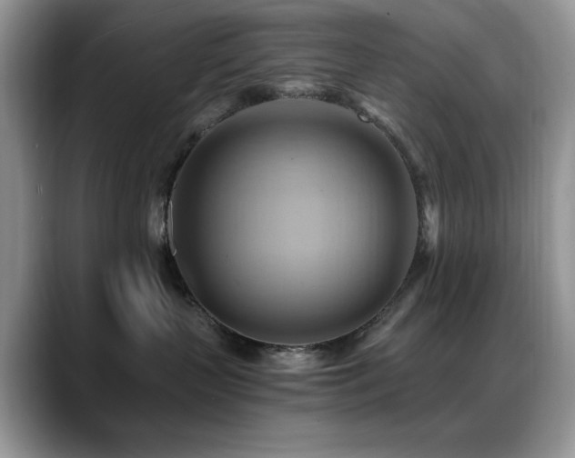 X0000088860383200706081157