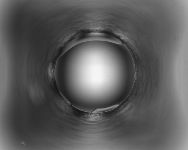 X0000088860384200706081157